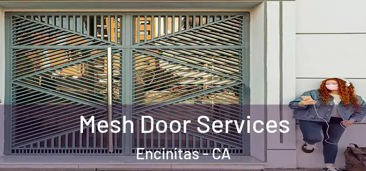 Mesh Door Services Encinitas - CA